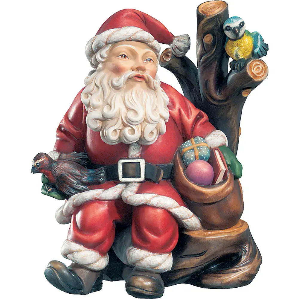 Santa Claus with birds