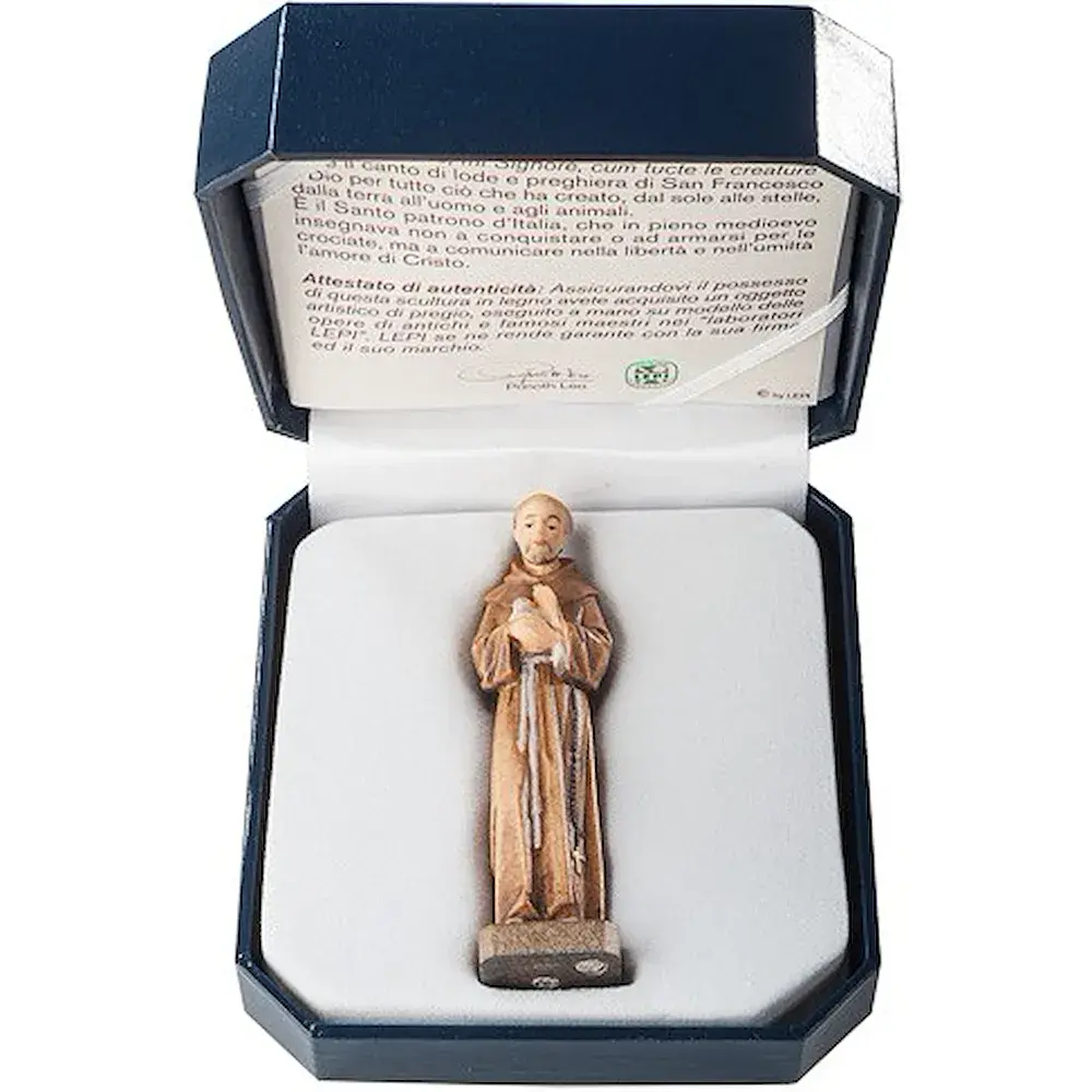 St. Francis with case