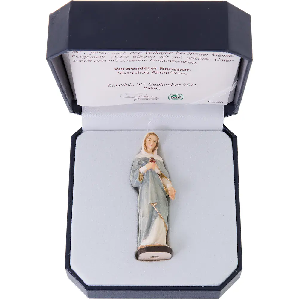 Sacred heart of Mary wiht case