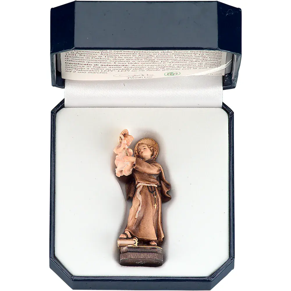 St. Anthony od Padua with case