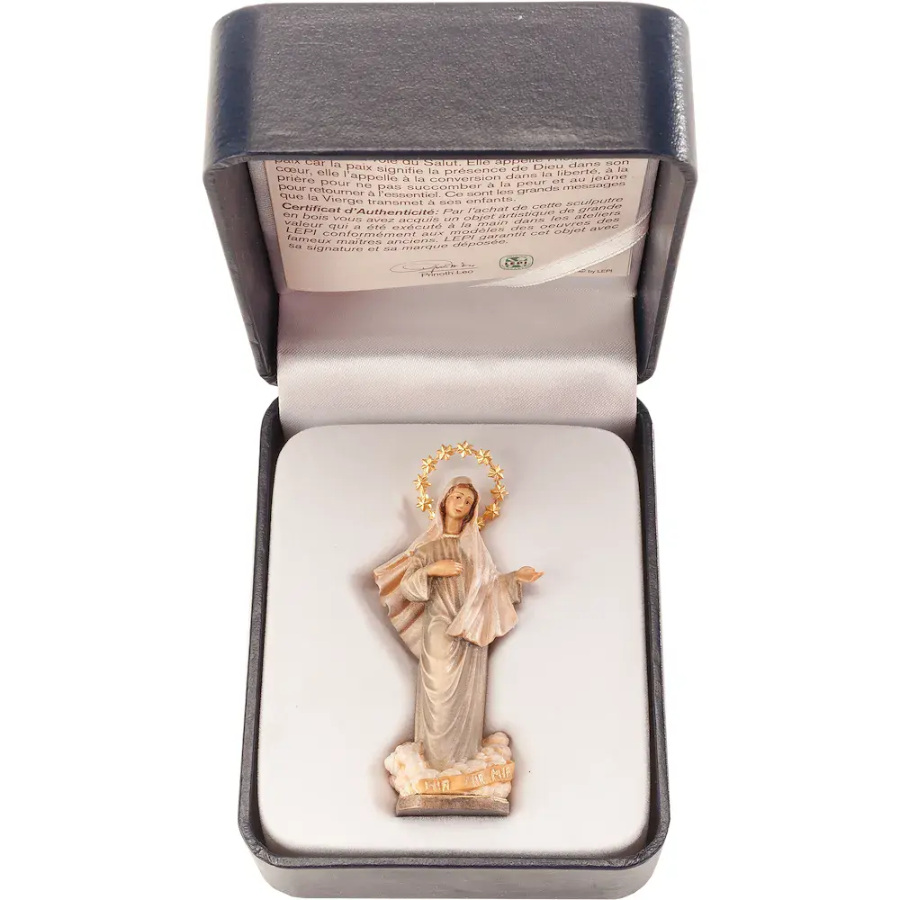 Queen of Medjugorje w. stellar & case