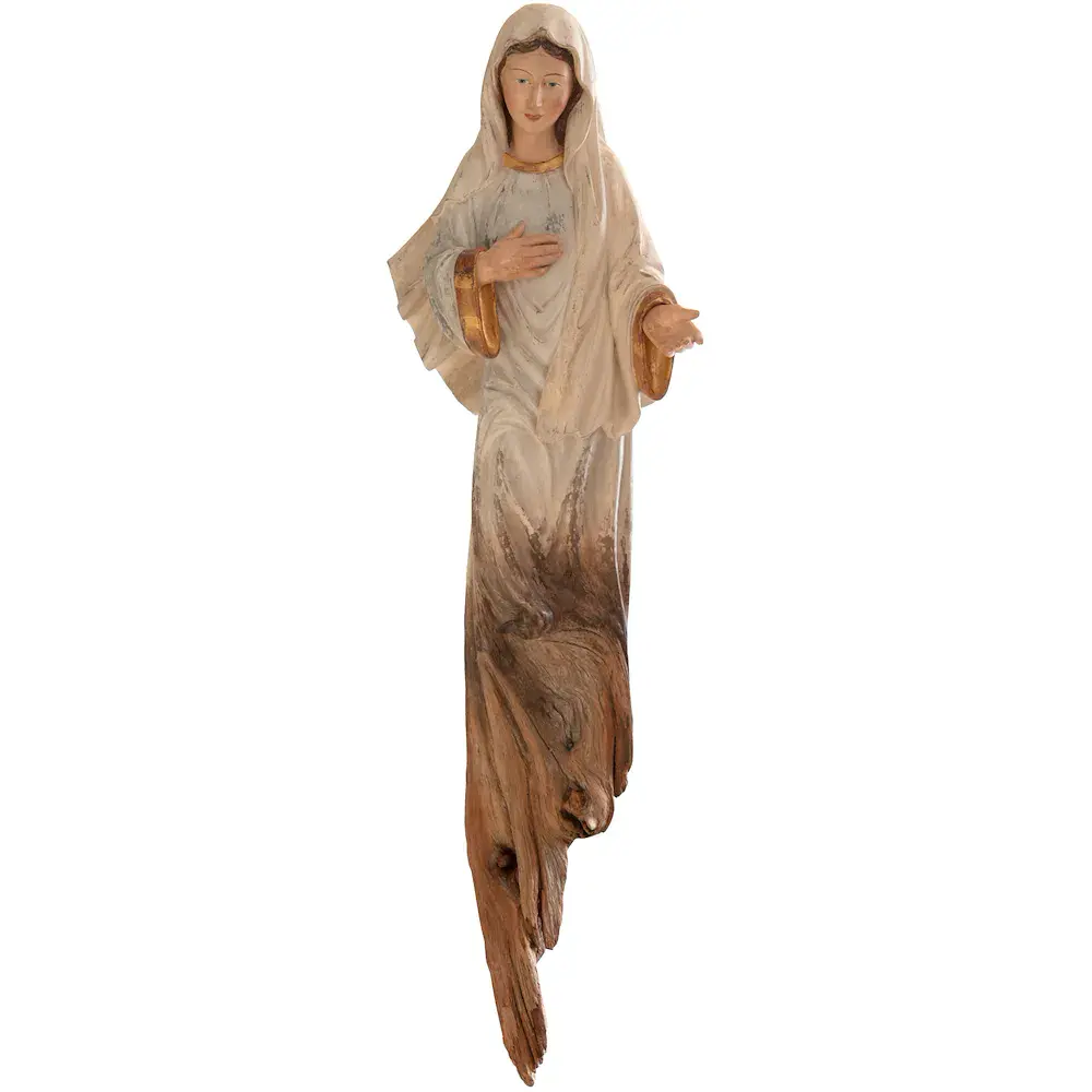 Our Lady of Medjugorie in root