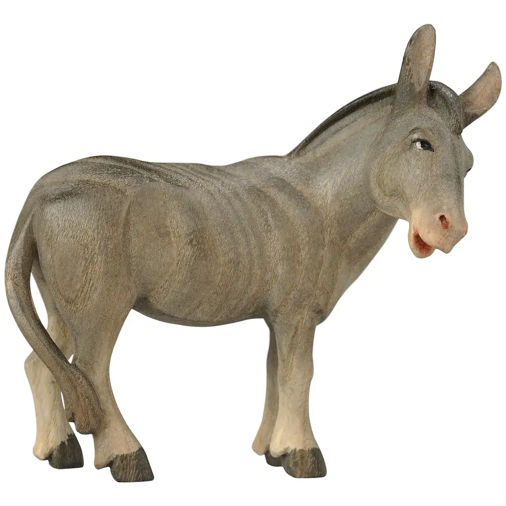 Donkey standing