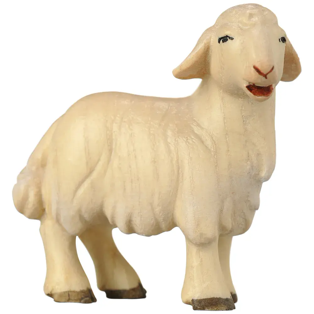 Lamb standing