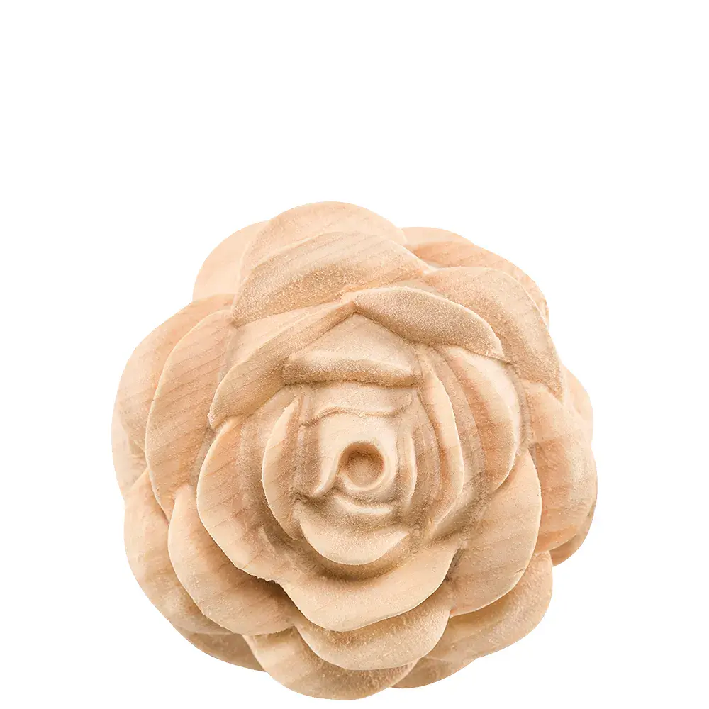 Fiore di rosa