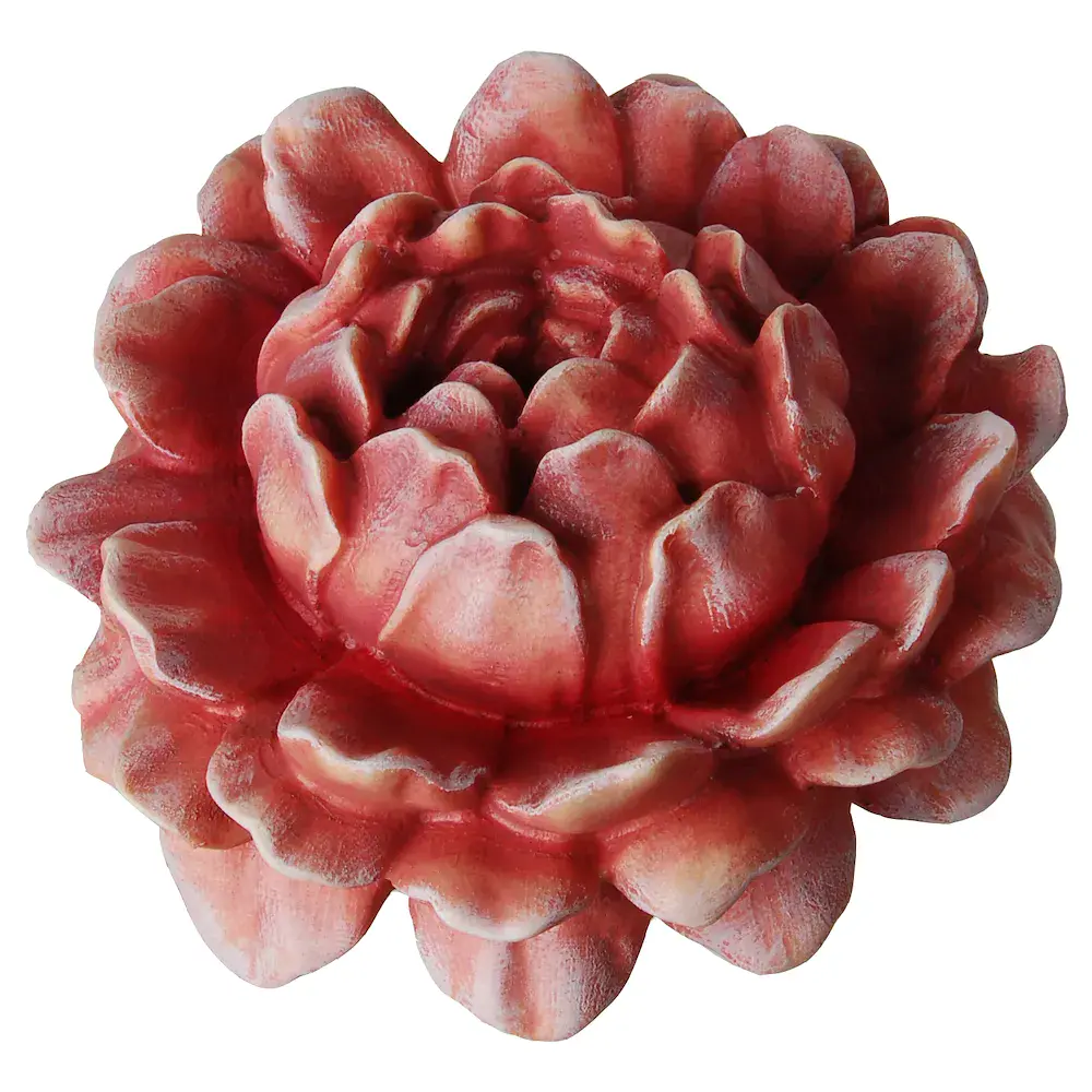 Fiore di Peonia