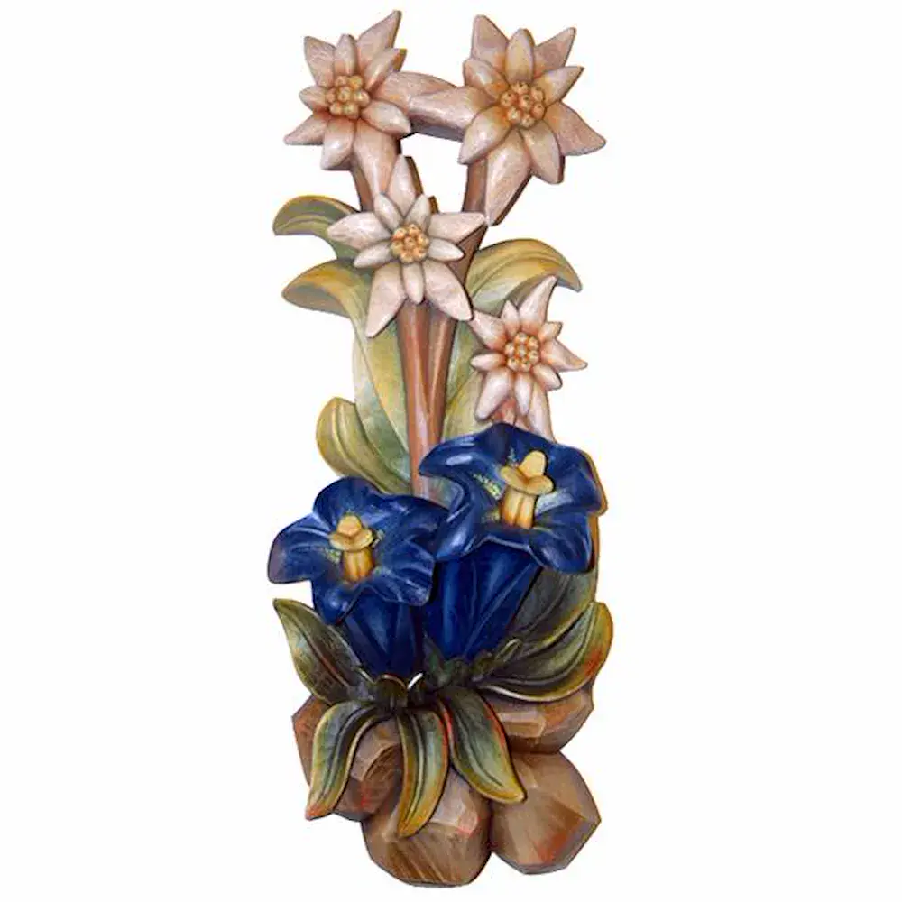 Wall alpine flower