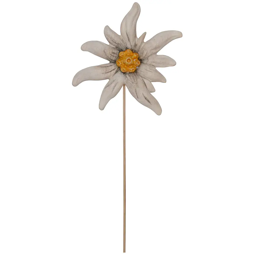 Alpin Star with wood stem