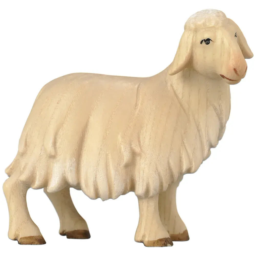 Schaf stehend