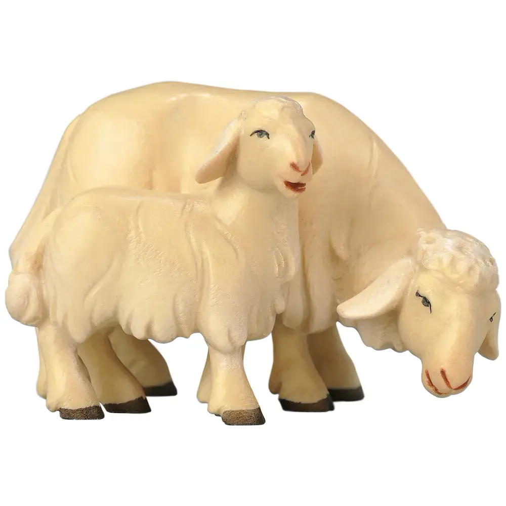 Schaf grasend mit Lamm