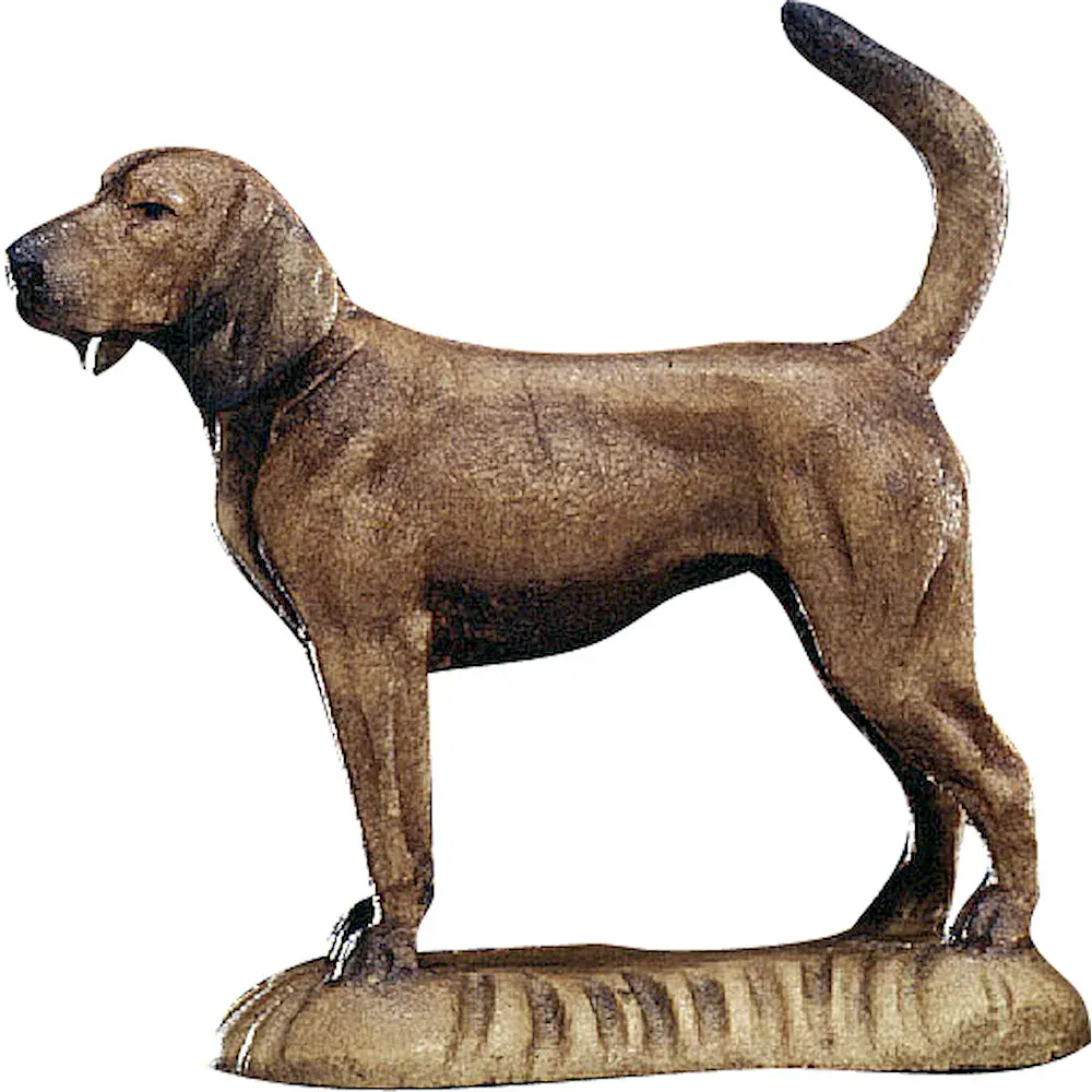 Perro