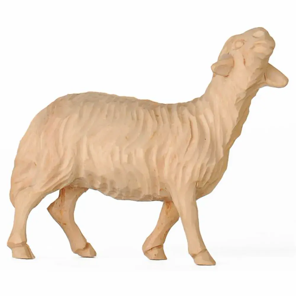Oveja de pie