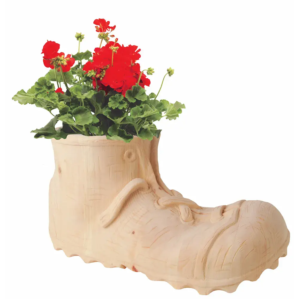 Zapato de montaña del pino