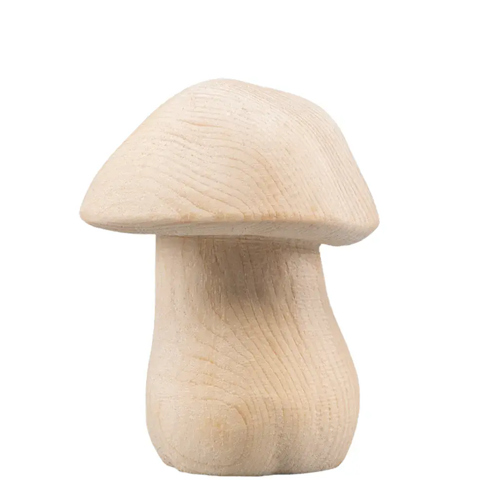 Steinpilz groß