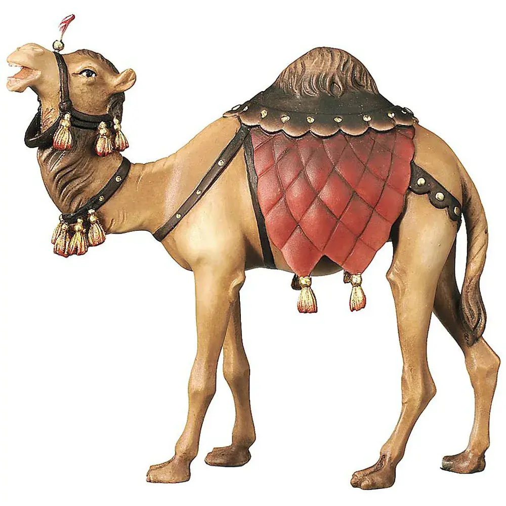 Camello