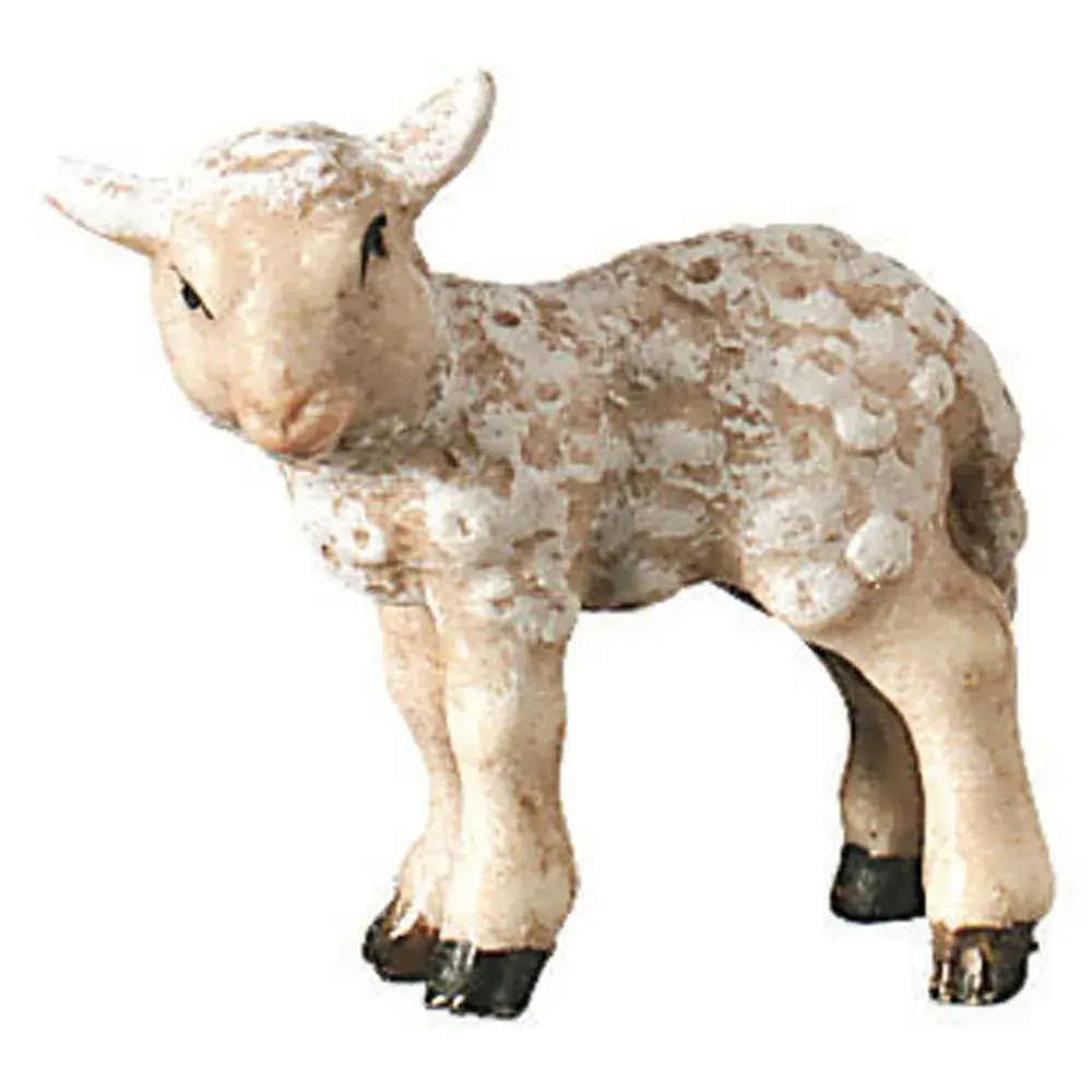 Agnello in piedi