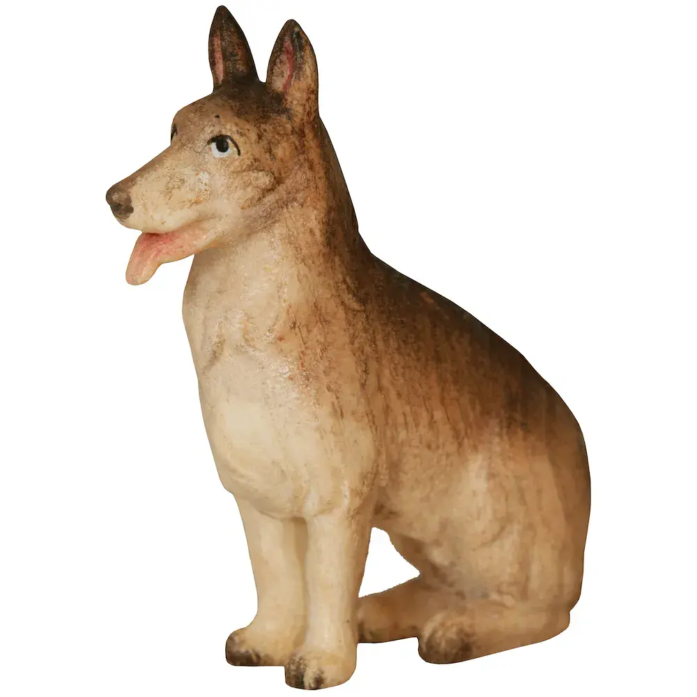 Cane da pastura