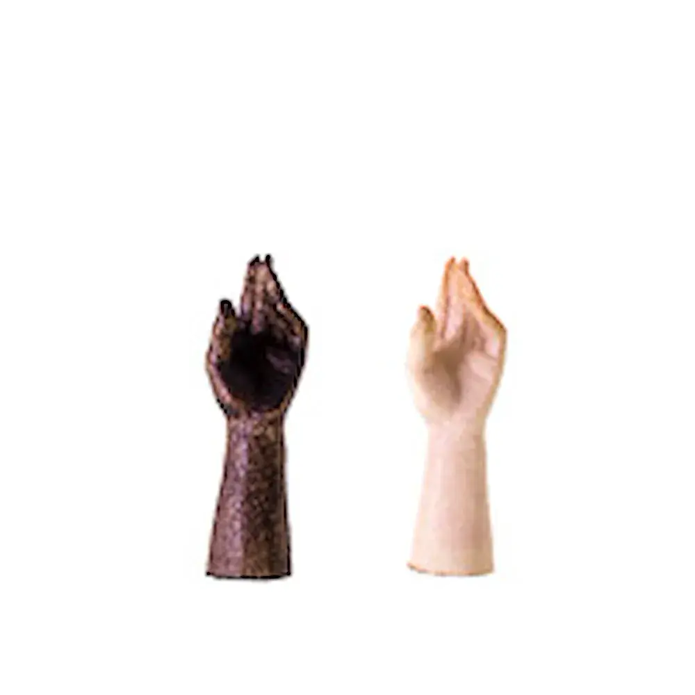 mano sinistra