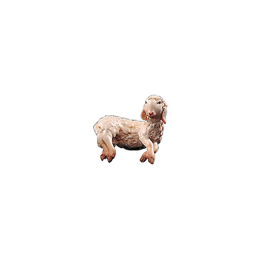 Agnello (per il pastore sulle spalle)