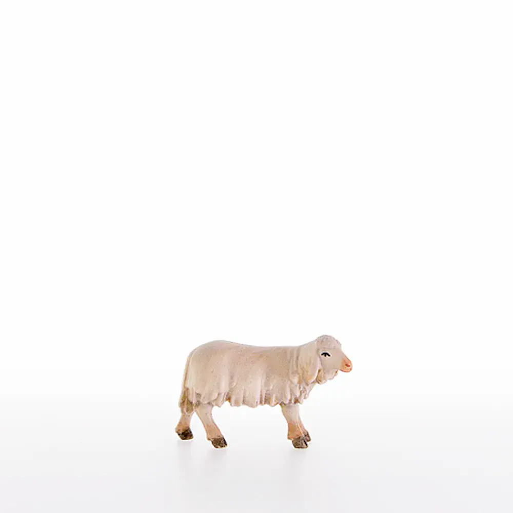 Agnello con capo verso sinistra