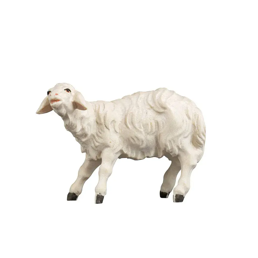 Sheep bleating