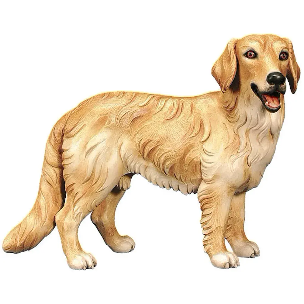 Dog  Golden Redriver