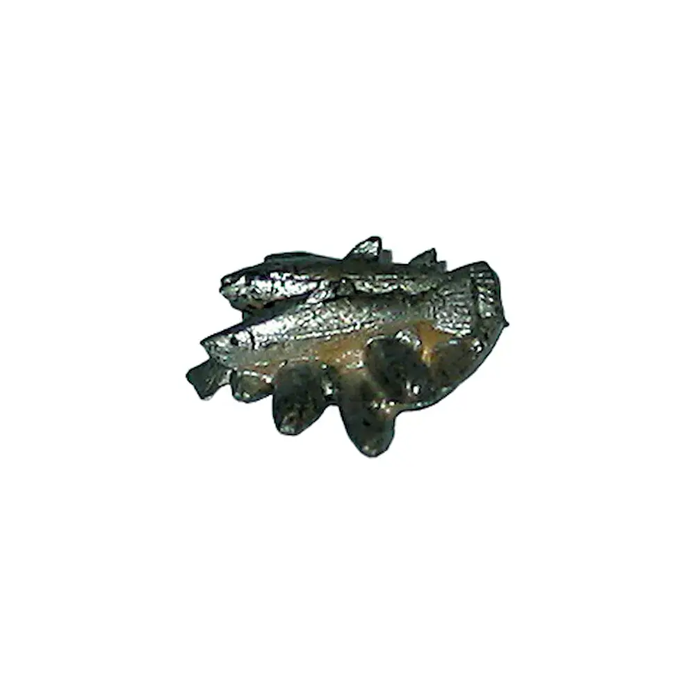 Fischgruppe