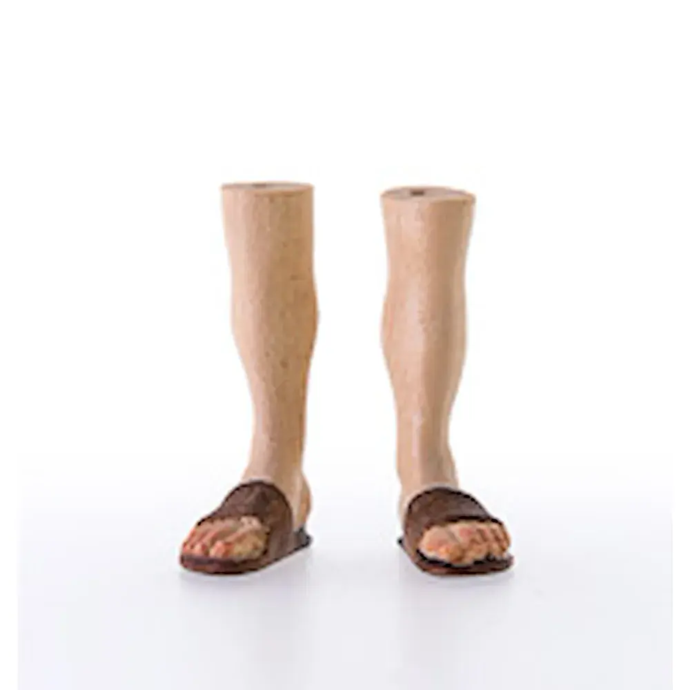Shepherd - feet