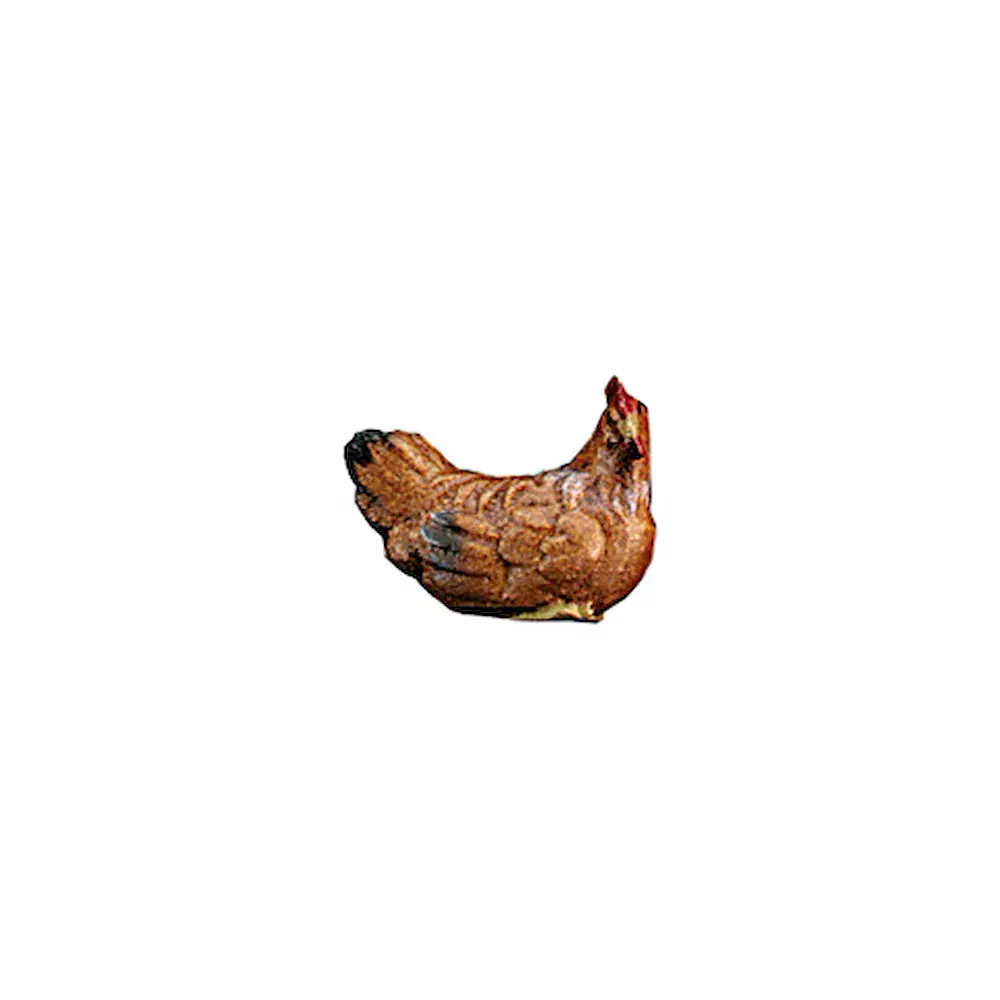 Hen