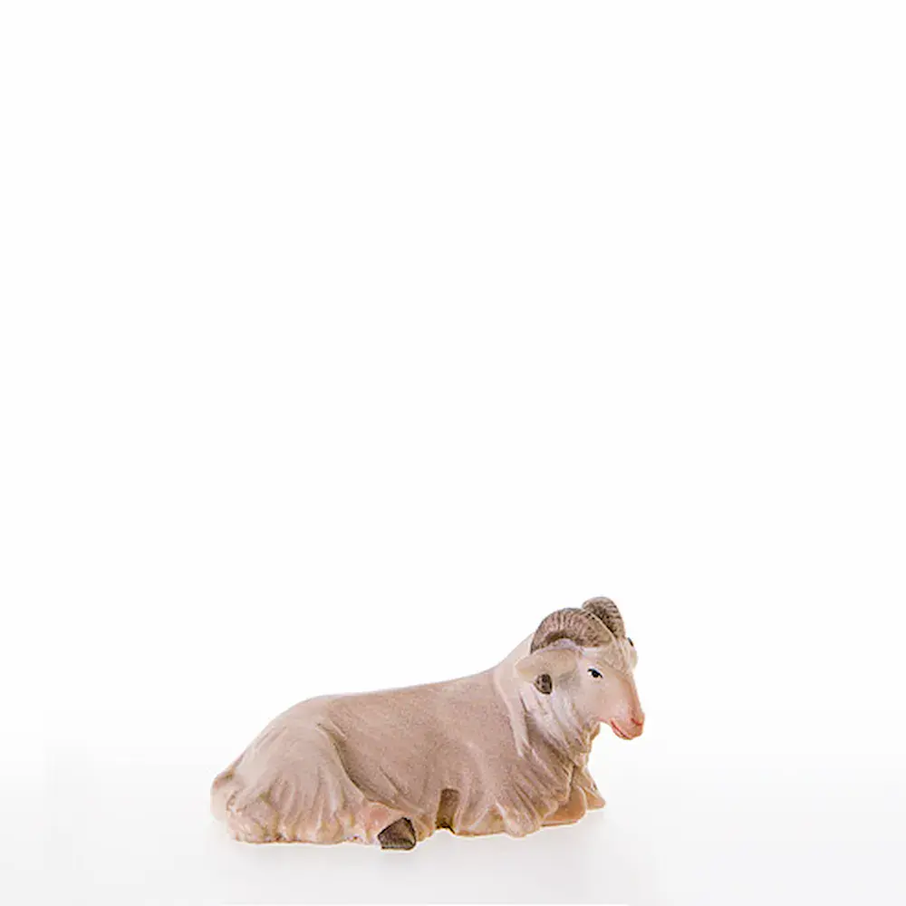 Ram