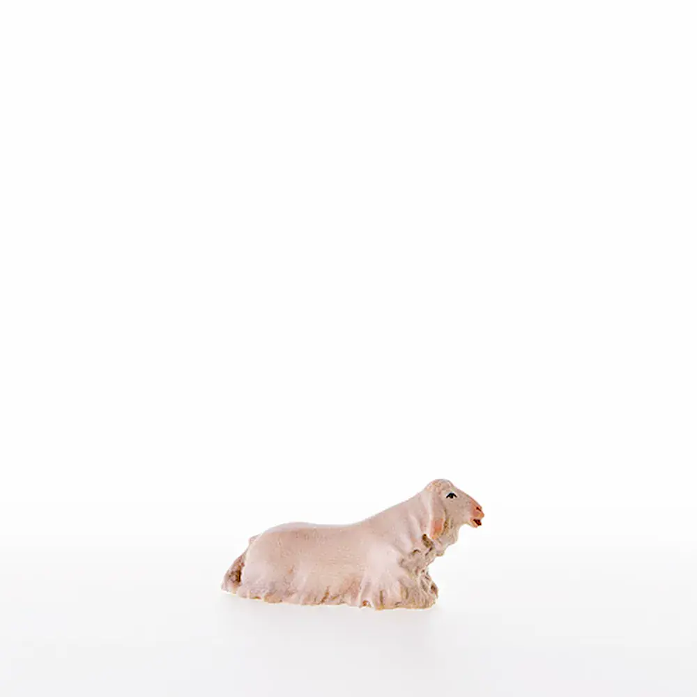 Lamb lying-down
