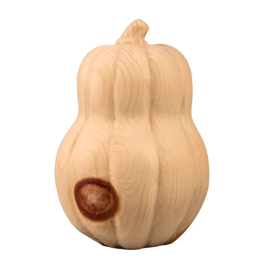 Kürbis lang