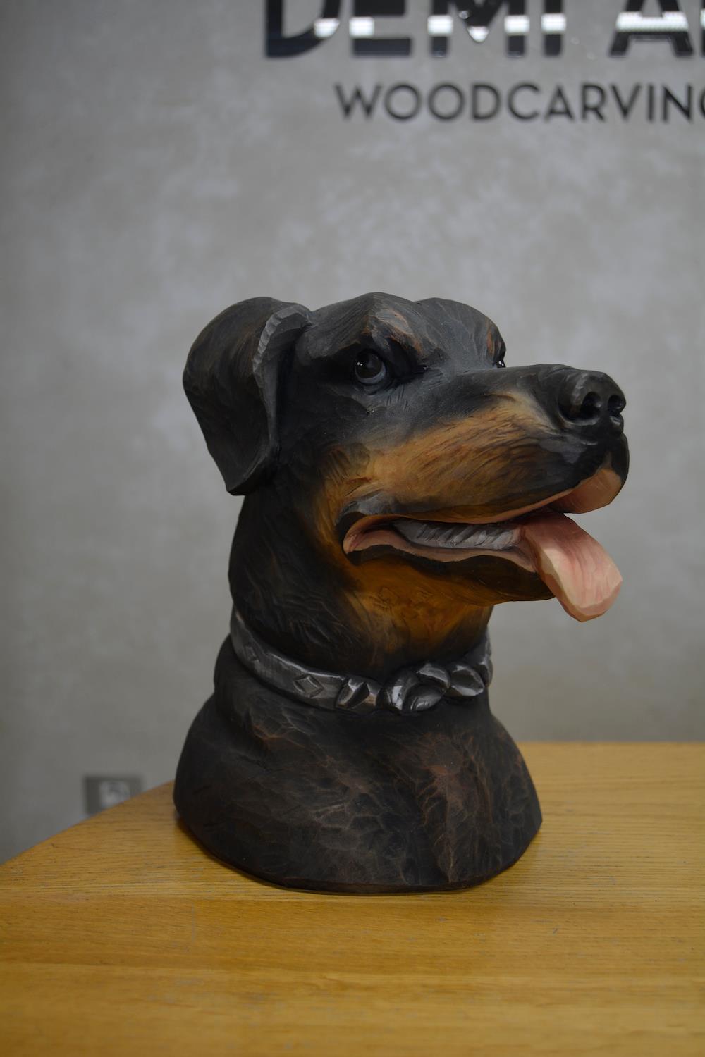 Dog's head