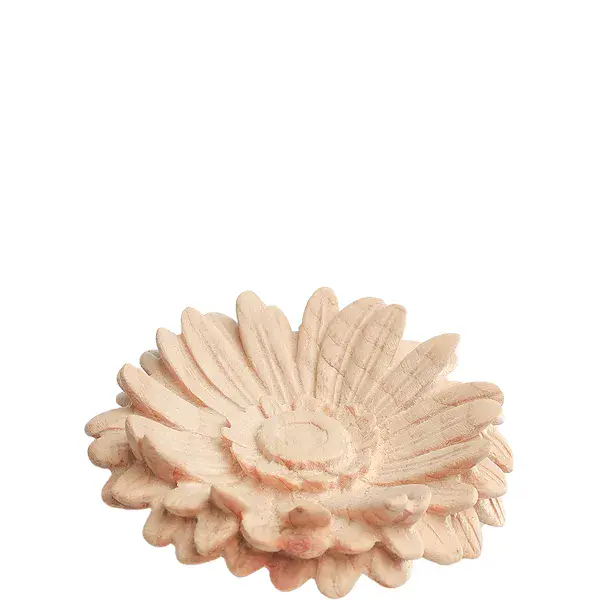 Gerbera flower