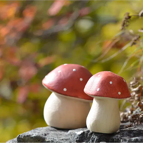 Steinpilz groß
