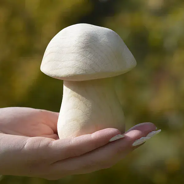 Mushroom big