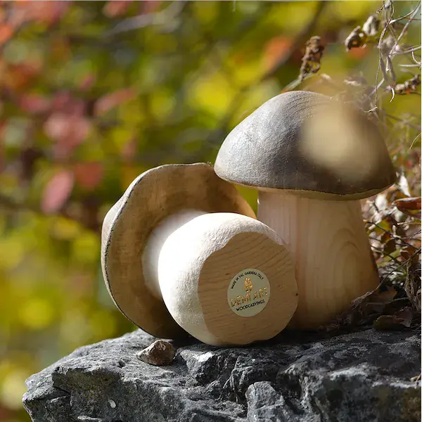 Mushroom big