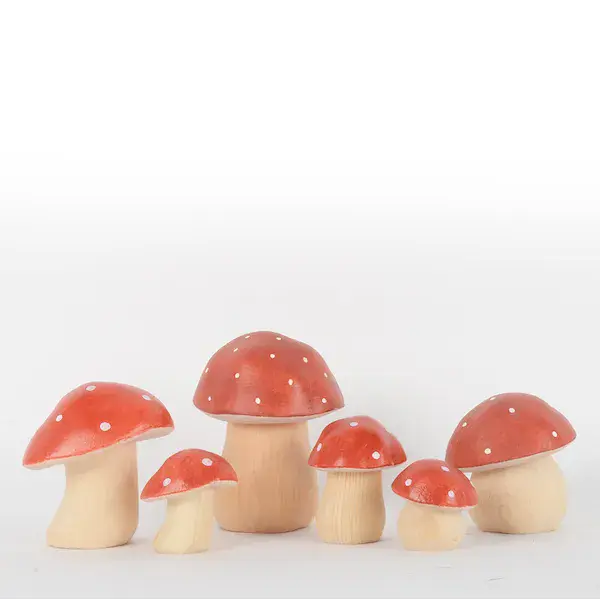 Steinpilz klein