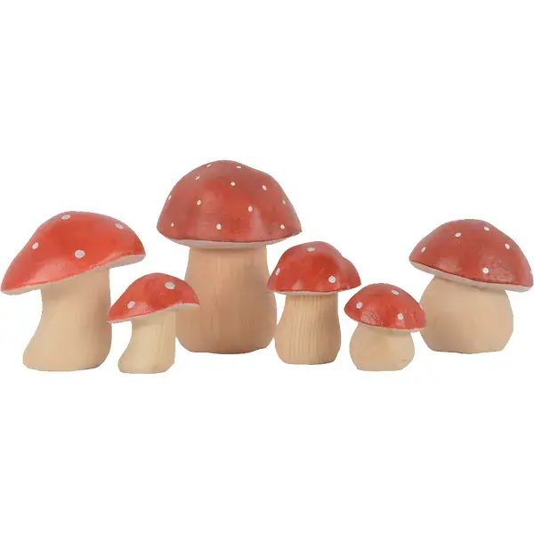 Steinpilz klein