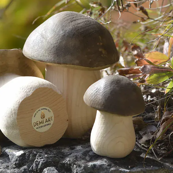 Mushroom small