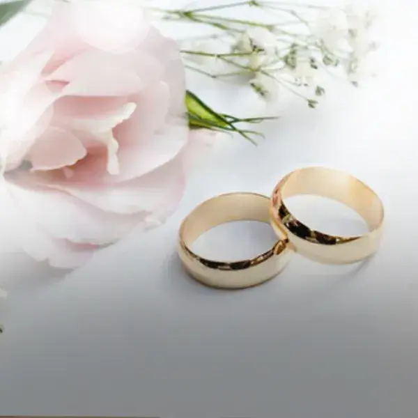 bodas