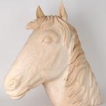 Pferdekopf