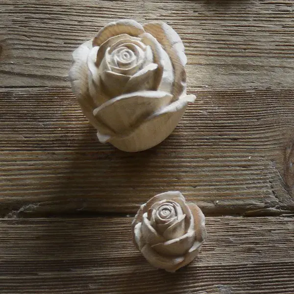 Rosenblüte geschlossen lose