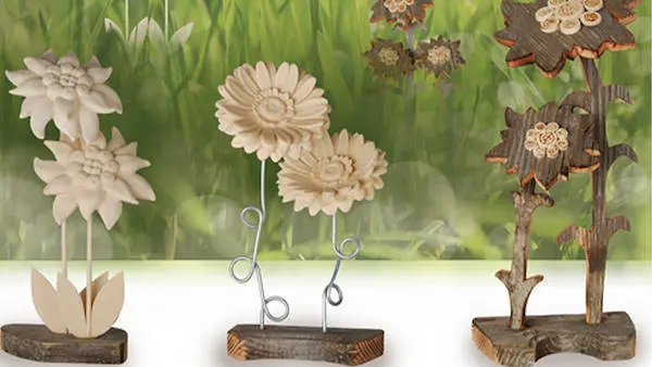 Spring is around the corner - discover our new flowers!