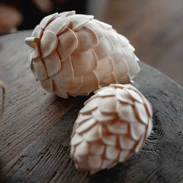 Swiss pine cone