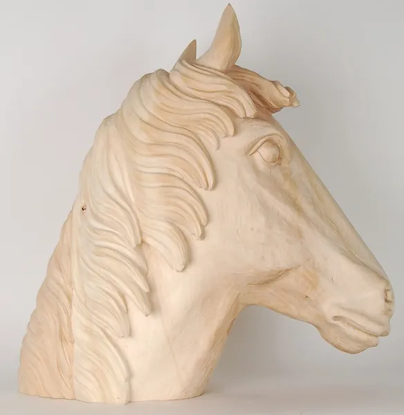 Altro lato della testa di cavallo